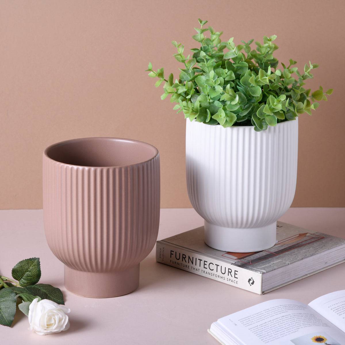 Accents Two Shell Ceramic Pot Contrasting or Complementary H6" D5.5"