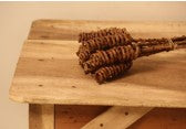 Accents Dried and preserved tail cylinder flowers