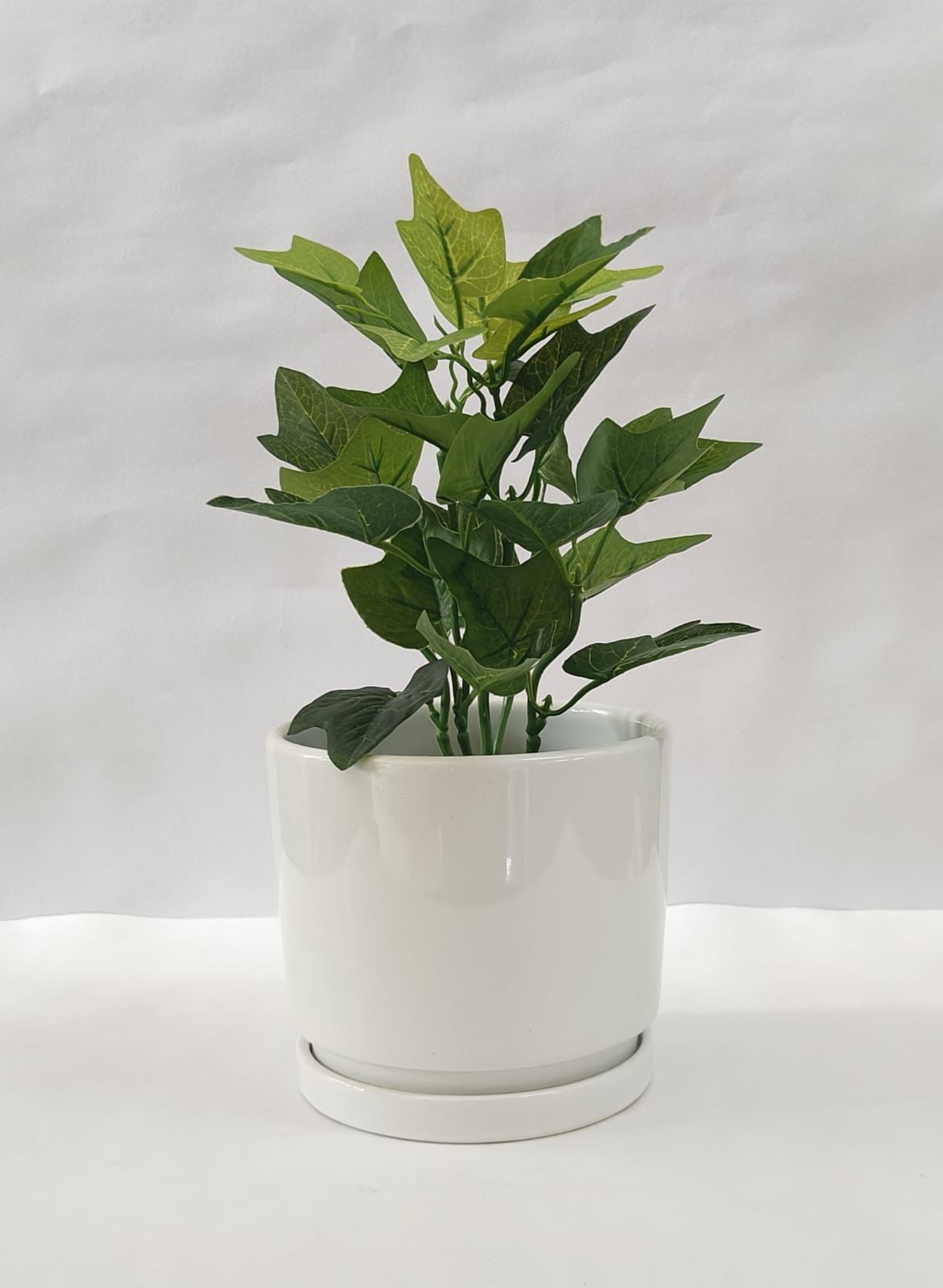 Accents Artificial Plant Y10A (34CM)