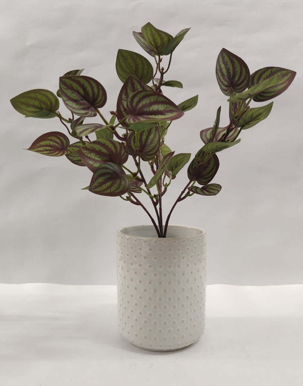 Accents Artificial Plant Y12C (34CM)