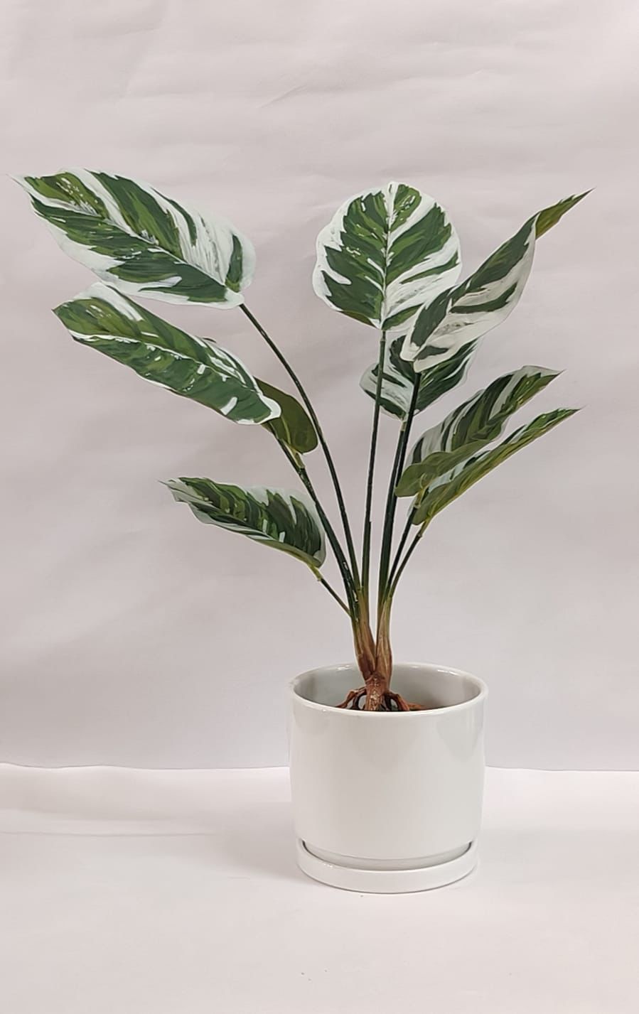 Accents Artificial Plant Y3B (50cm)