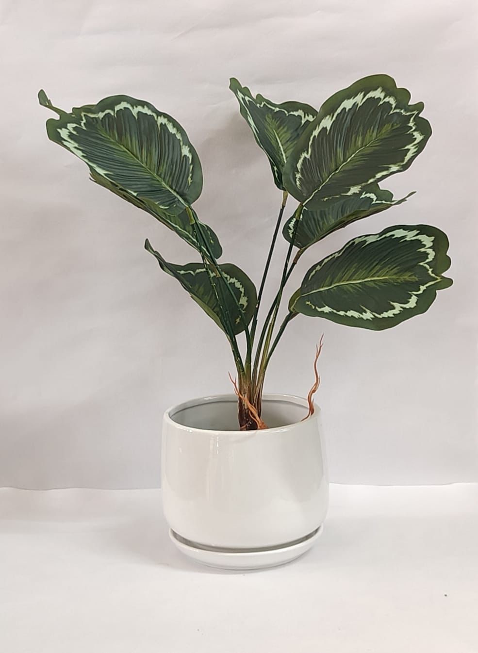Accents Artificial Plant Y3A (50cm)
