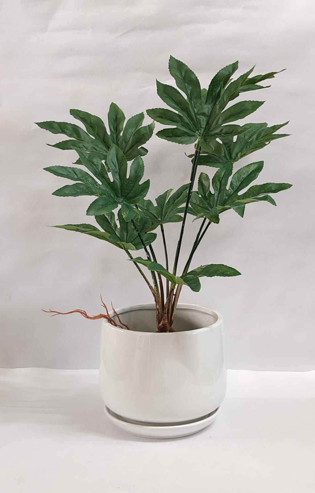 Accents Artificial Plant Y1B (50cm)