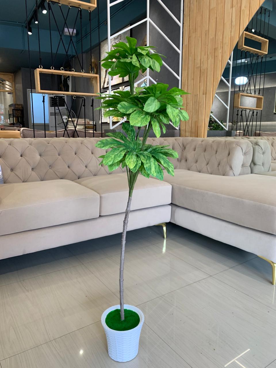 ACCENTS TREE-F0603