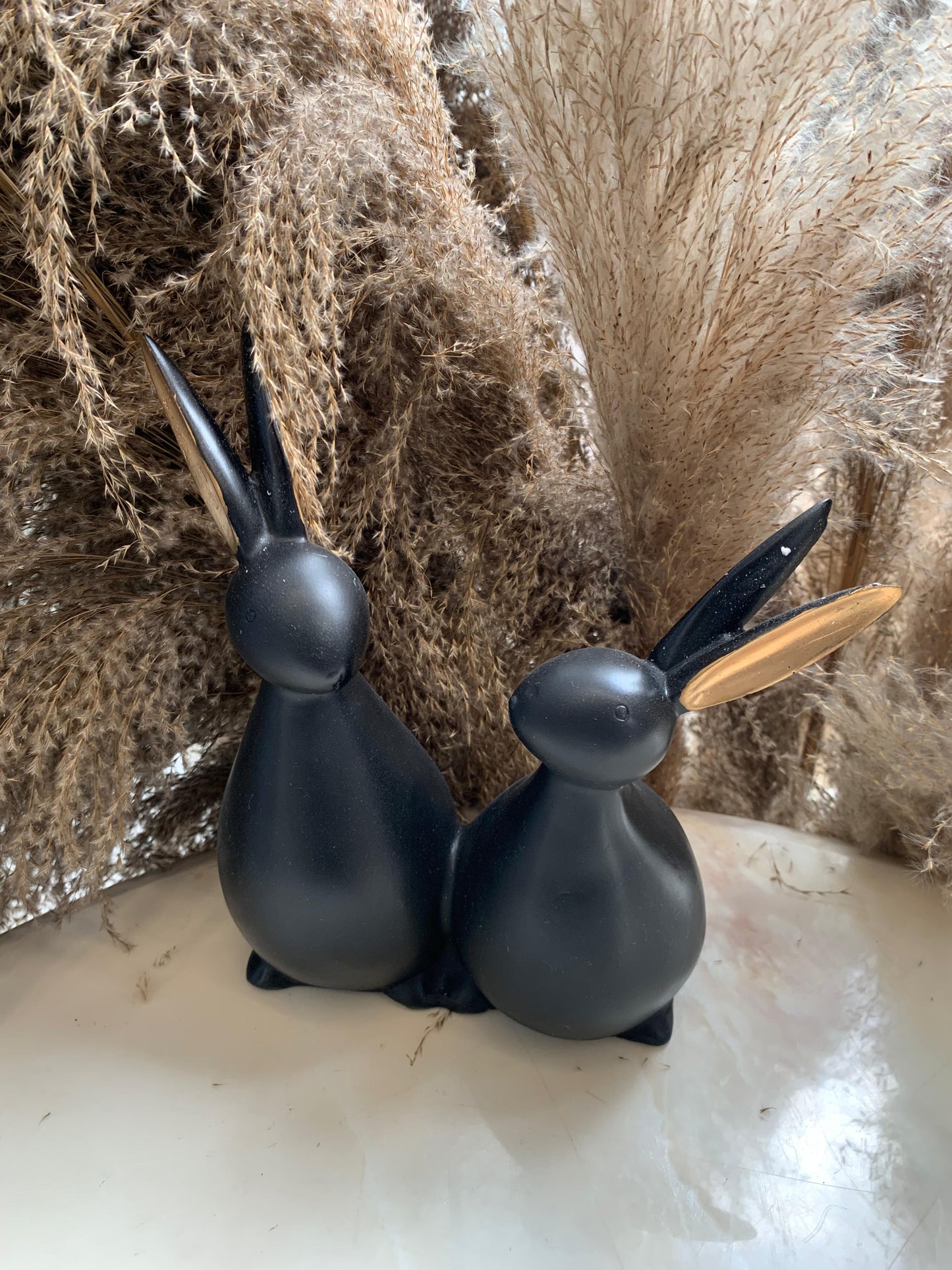 BLACK RABBIT