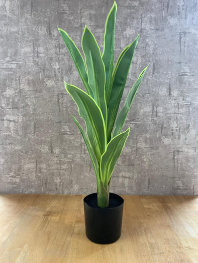 ACCENTS TREE-G0620