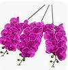 Accents Artificial Orchid Stems