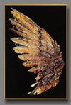 Accents Crystal Butterfly Wing Painting ( 40cm X 60cm)