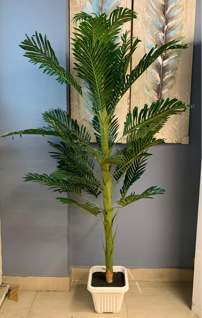 ACCENTS TREE-F1305