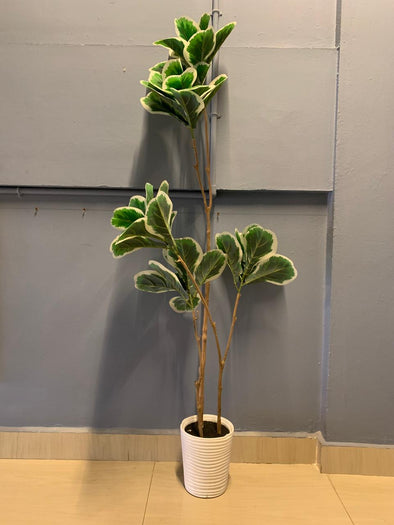 ACCENTS TREE-F1314