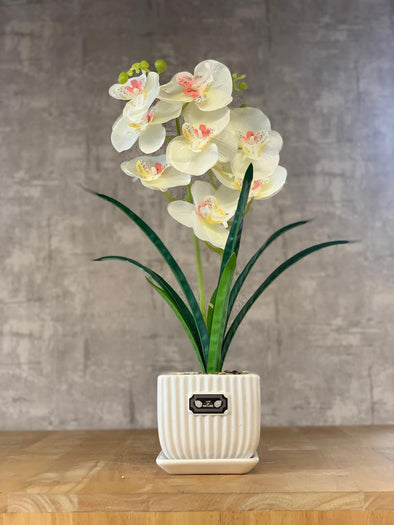ACCENTS AR FLOWER-G0504