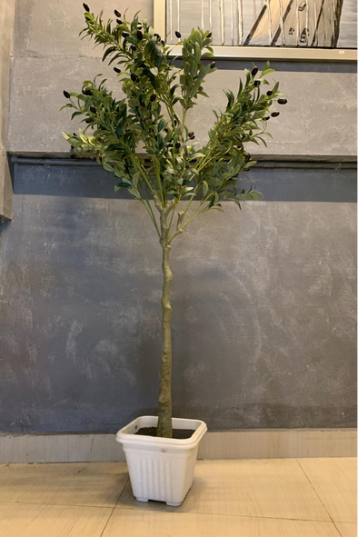 ACCENTS TREE-F1310