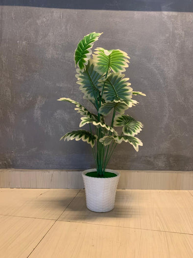 ACCENTS TREE-F0607