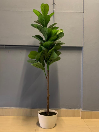 ACCENTS TREE-F0609