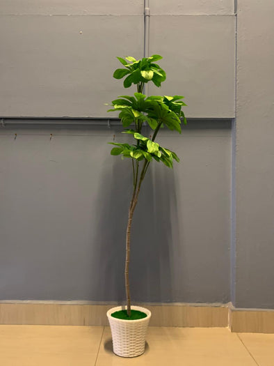 ACCENTS TREE-F0603