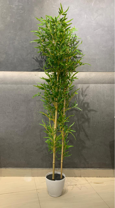 ACCENTS TREE-F0701