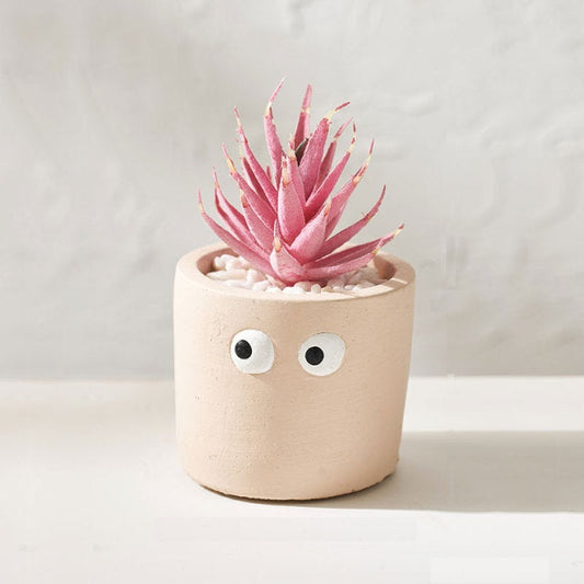 Accents Baby Pink Small Face Planter