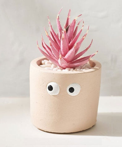 Accents Big Face Planter H5.5" D6.5"