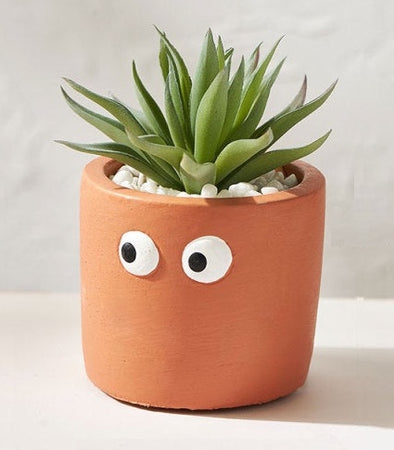 Accents Big Face Planter H5.5" D6.5"