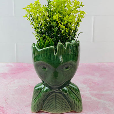 Accents H6.5" D4"Designer Table Top Plant Pot