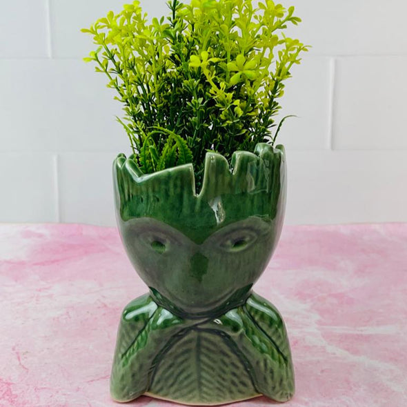 Accents H6.5" D4"Designer Table Top Plant Pot