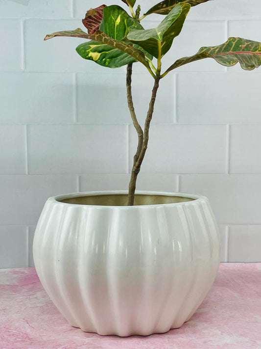 Accents H7" D10" White Oval Shaped Big Size Plant Pot