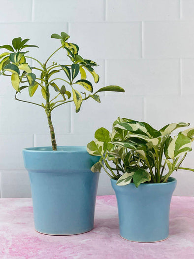 Accents H6" D6.5"Blue and Grey Colour Ceramic Plant Pot (SET OF 2)