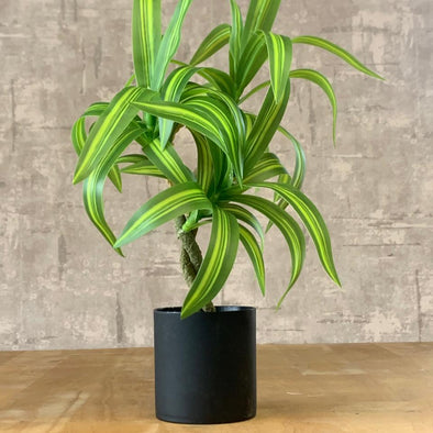 ACCENTS AR FLOWER-G0108