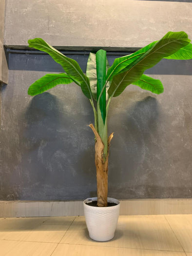 ACCENTS TREE-F1308