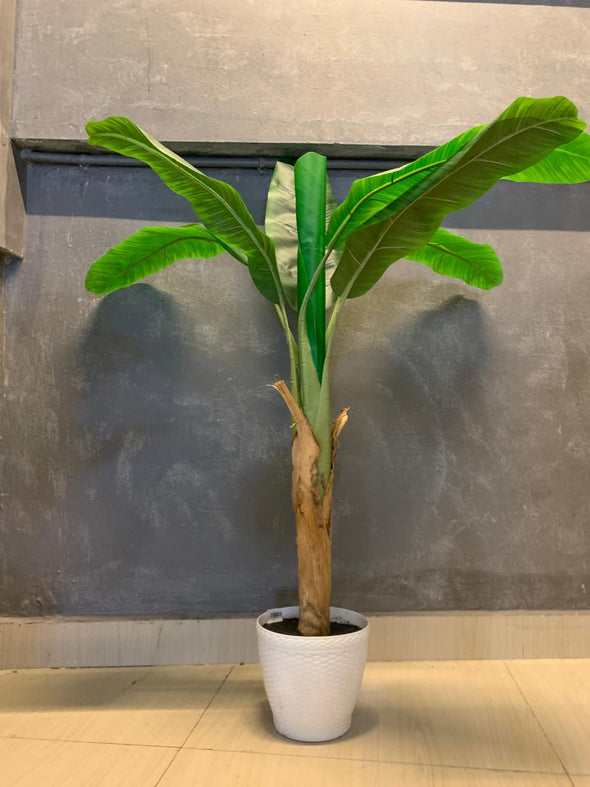 ACCENTS TREE-F1308