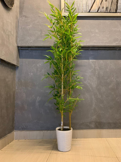 ACCENTS TREE-F0702