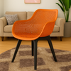 Icon Fibre Chair