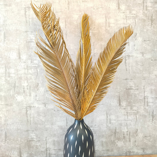 Accents Accents Palm Frond in  Dried Flowers Large Dried Palm Leaves Natural Dried Palm Fans Dried Flower Bouquet Wedding Decors Dried Fan Palm Leaves