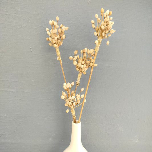 Accents DL0020 Corn Stem Dried Flowers/Home Decor