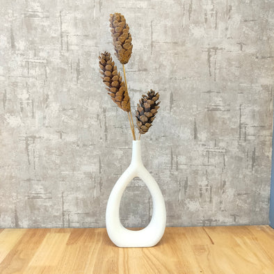 Accents Sugar Pine Cones