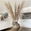Accents Grey Pampas Grass