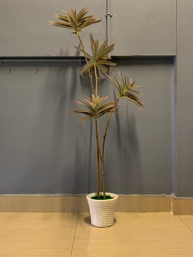 ACCENTS TREE-F1309