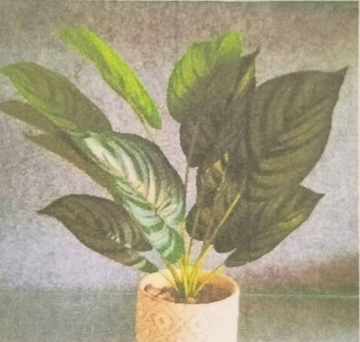 Accents Artificial Plant V8 (45CM)
