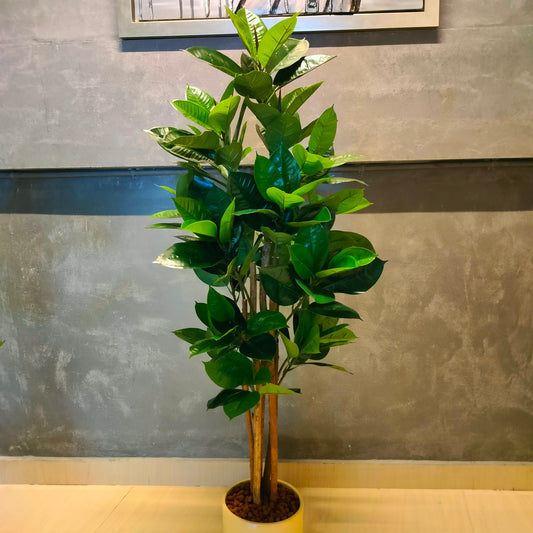 Accents Artificial Rubber Plant V6 (150cm)