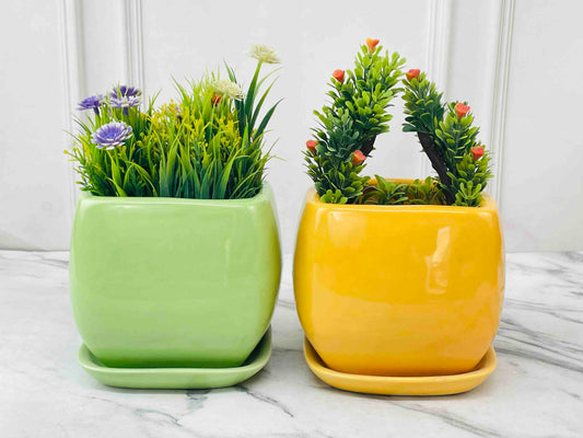 Accents - Curvy Edged Square Shaped Ceramic Pot (H5.5'' D5.5'')