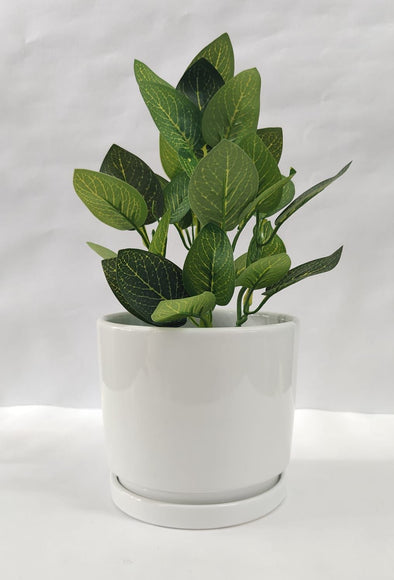 Accents Artificial Plant Y11D (34CM)