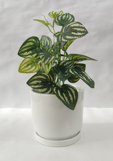 Accents Artificial Plant Y11B (34CM)