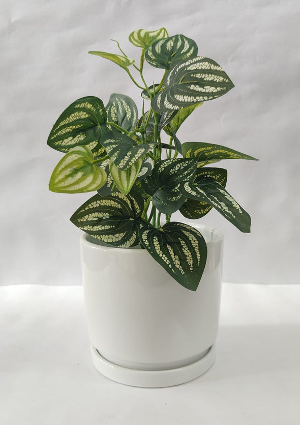 Accents Artificial Plant Y11B (34CM)
