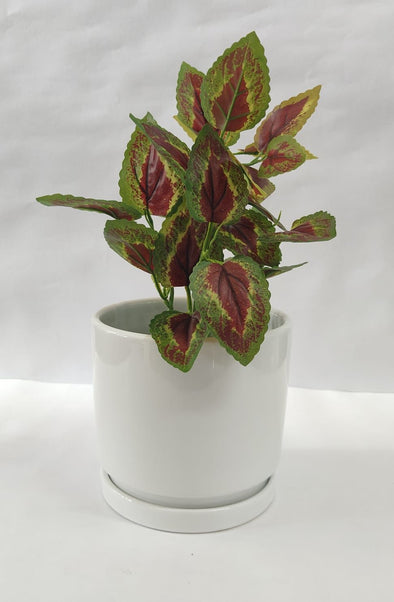Accents Artificial Plant Y11C (34CM)