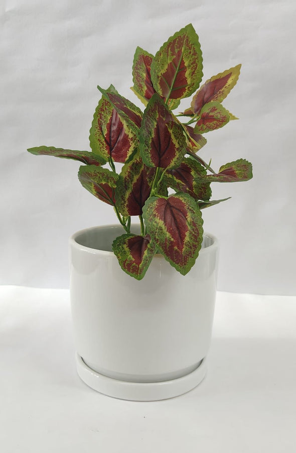 Accents Artificial Plant Y11C (34CM)