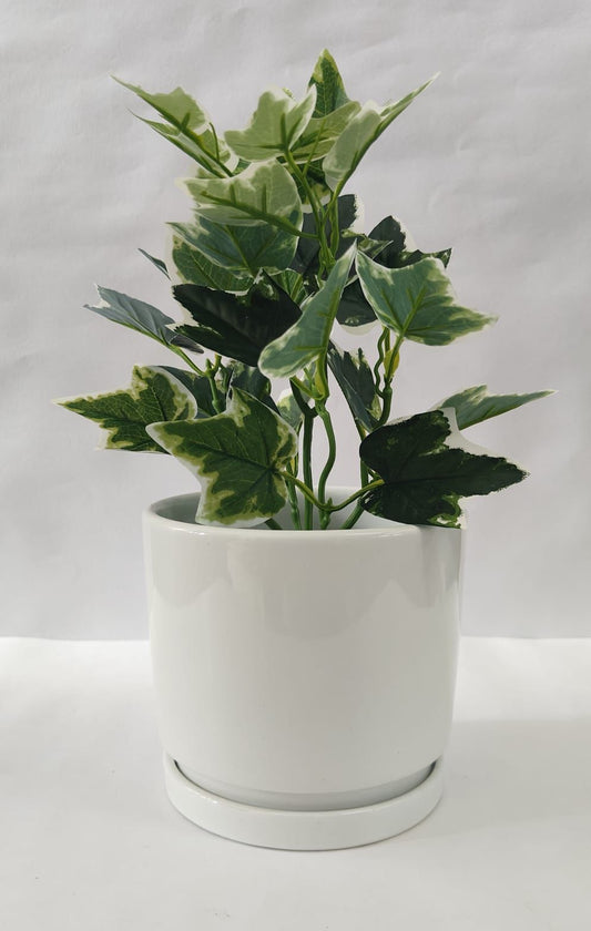 Accents Artificial Plant Y10E (34CM)