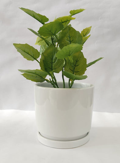 Accents Artificial Plant Y10D (34CM)