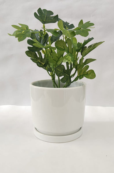 Accents Artificial Plant Y10C