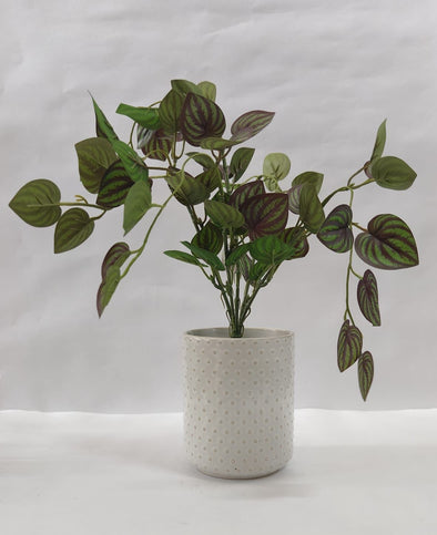Accents Artificial Plant Y9A (45CM)