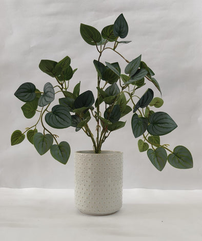 Accents Artificial Plant Y9C (CM)